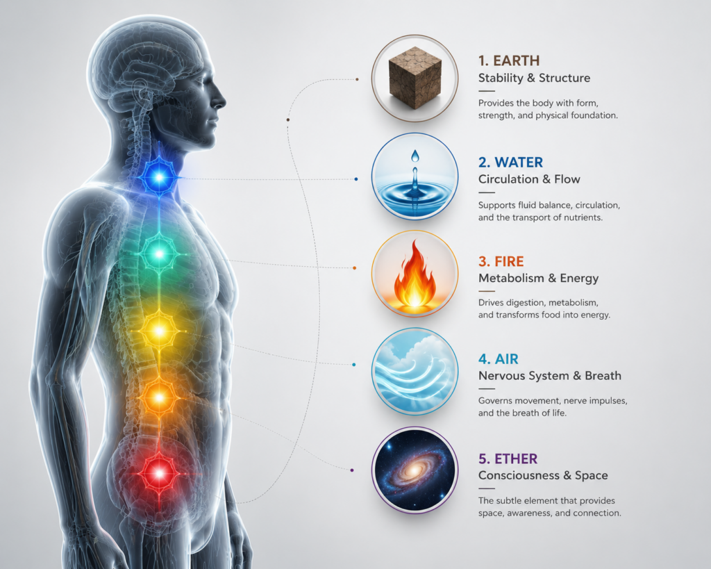 five elements in the human body